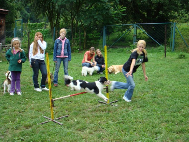 Hop Hop Hop !