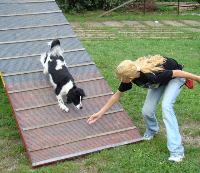 agility.......